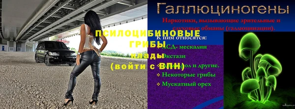 Альфа ПВП Алзамай