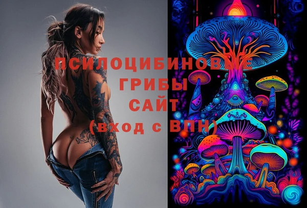 Альфа ПВП Алзамай