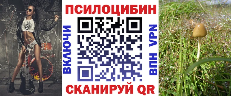 купить наркоту  Чусовой  Псилоцибиновые грибы MAGIC MUSHROOMS 