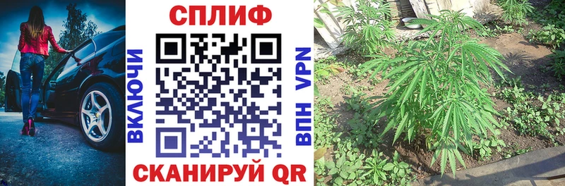 Марихуана OG Kush что такое наркотик Чусовой